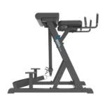 reverse hyperextension pro