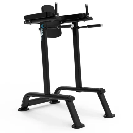 knee raise pro